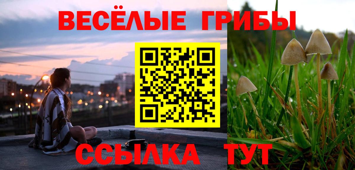 Псилоцибиновые грибы Psilocybine cubensis  Галлюциногенные грибы прущие грибы  Хасавюрт  Вход с VPN 